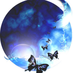 Luna   Shop