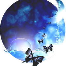 Luna   Shop