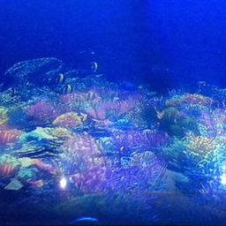 mineral room