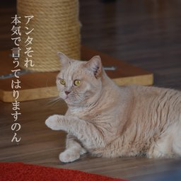 魚住