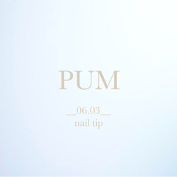 pum06.03