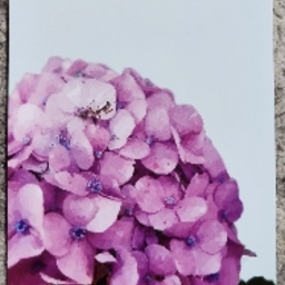 haluasa0408