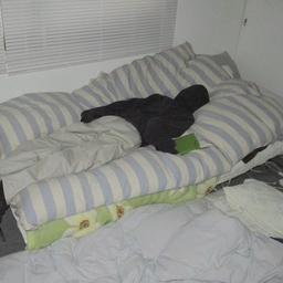 inbedshop