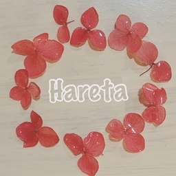 Hareta.