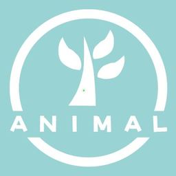 Juti（ジュティ）