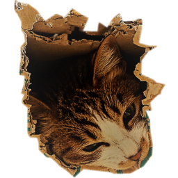 nekoapa