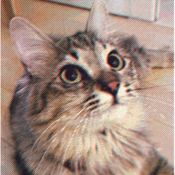 𝚙𝚒𝚙𝚘