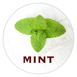 革小物ミント-MINT-