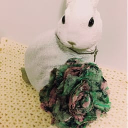うさぎちゃん