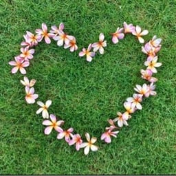 sweet-rony