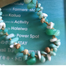 Hauoli＊niijima