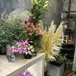 florist-h