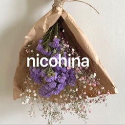 nicohina