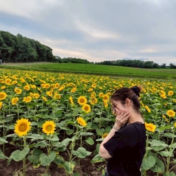 petite journée