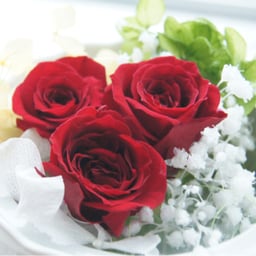 anelagarden429
