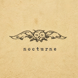 ✴︎nocturne✴︎