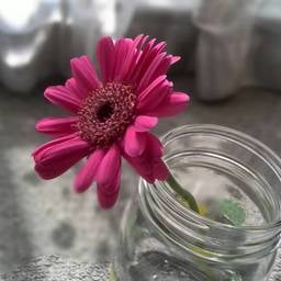 nana-kei