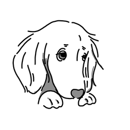 百花