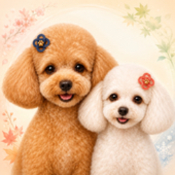 pawnokisetsu