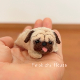 Pinokichi House   