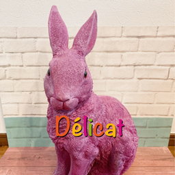 delicat-xx