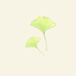 yurumu-words
