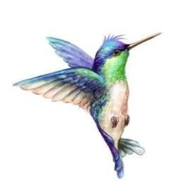  HummingBird