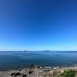 masayun-1