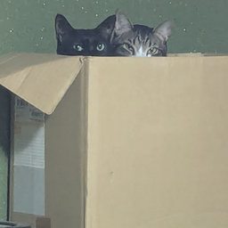 ヒサオ