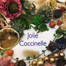 Jolie  coccinelle