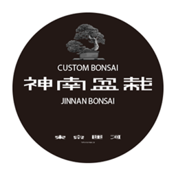 jinnanbonsai