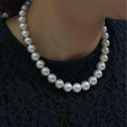 miao830