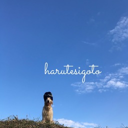 harutesigoto