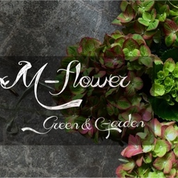 mflower-shop