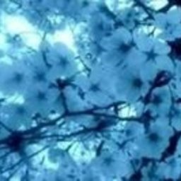 藍舞暁 零楼-ZERO-