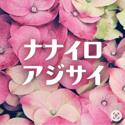ナナイロアジサイ