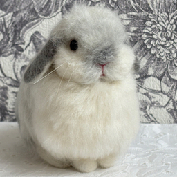 Mon mignon ♡(モンミニョン)