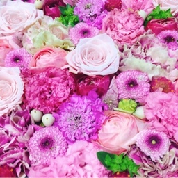 Flowerstalk 
