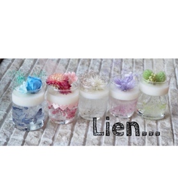 Lien...
