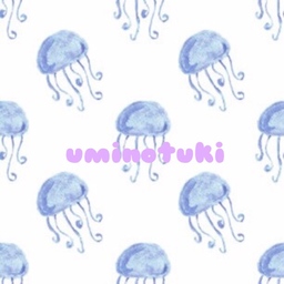 uminotuki25