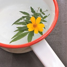 麻と木と花LABO