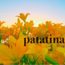 patatina