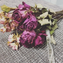 aromaroom24