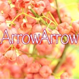ArrowArrow