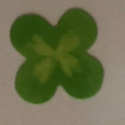 Lucky Clover