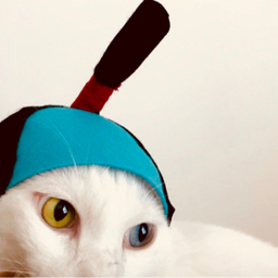 ぎんた