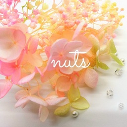 nuts