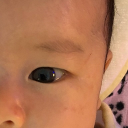 みとちゃん