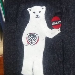fullfanfutur