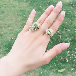 mi ◡̈*.。